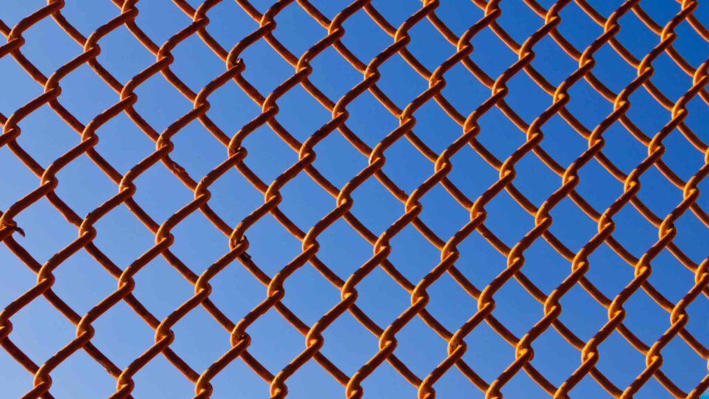 Colored chain link fence